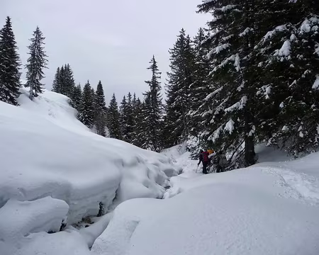 PXL044 Vers le Plateau de Barme