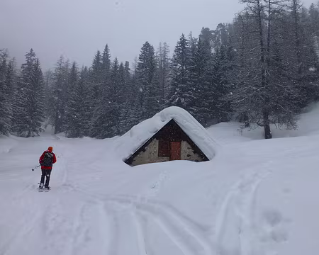 PXL005 Vacherie de Salèse