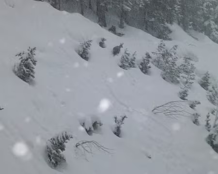 PXL008 Cherchez Charly !