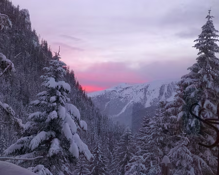 PXL011 Couchant prometteur ???