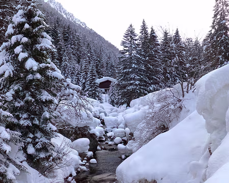 PXL013 Torrent bien enneigé