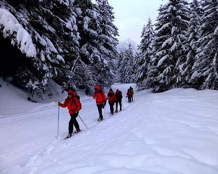 PXL014 Nous longeons la piste de ski de fond avec grandes précautions ...