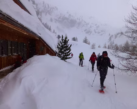 PXL051 Retour au chaud (enfin pas dans le dortoir !)