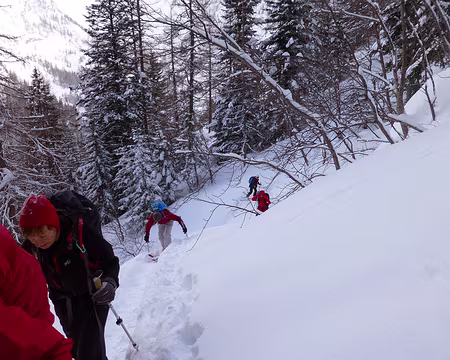 PXL071 Raquettes et skis, on brasse tous autant.