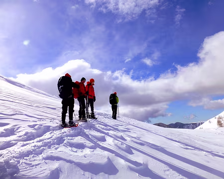 PXL078z2311 Irréel mais venté