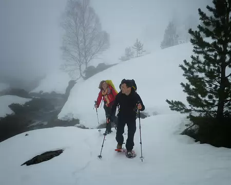 PXL002 Le haut de la vallée de Savignac. Encore un peu de végétation, puis...