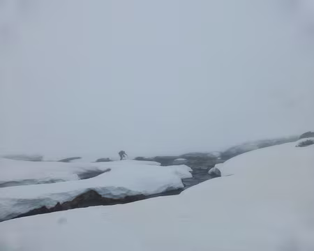 PXL003 ... la banquise !