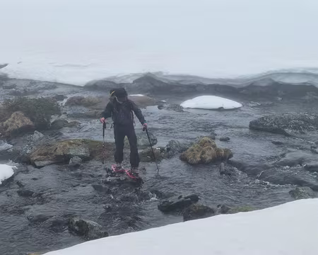 PXL004 Raquettes amphibies.