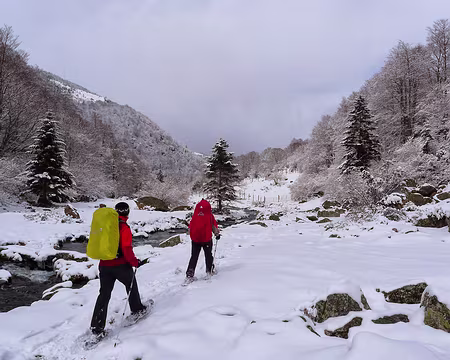 PXL029 Le long du Najar.