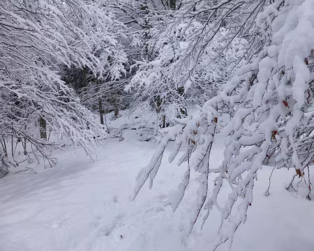 PXL031 Les chutes de neiges nocturnes ont métamorphosé la vallée.