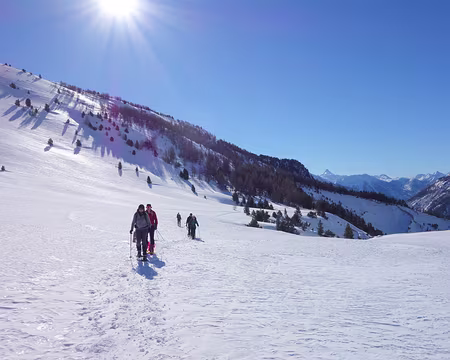 DSC01497 juste sublime !