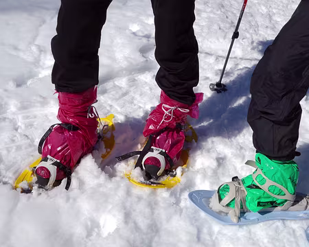 DSC01505 La tendance raquettes 2014