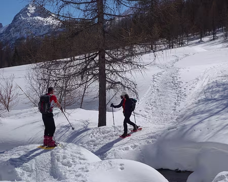 DSC01530 Nous sommes le 8 mars, journée de la femme