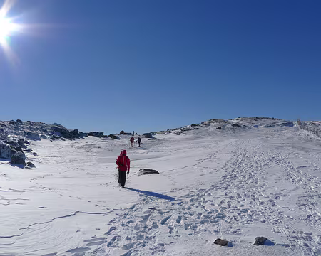 010 Sur la crête de Niermont.