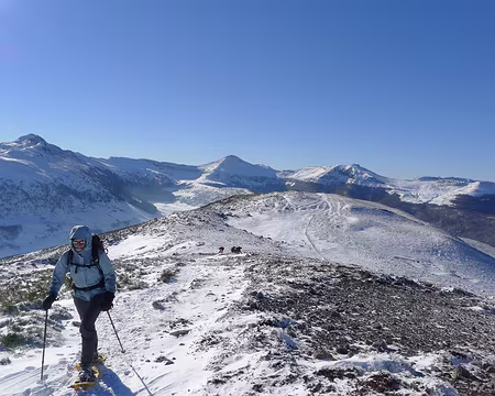 011 Sur la crête de Niermont. Le Puy de Peyre Arse à gauche, le Puy Mary au centre.