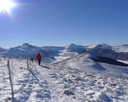 012 Sur la crête de Niermont. Le Puy de Peyre Arse à gauche, le Puy Mary au centre.