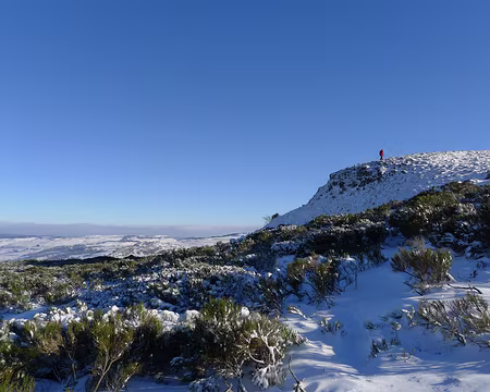 019 Petit homme rouge.