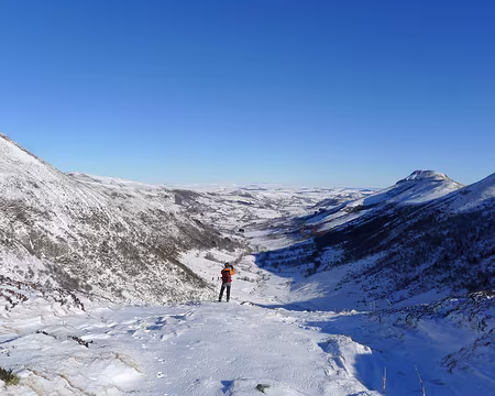 026 Au col de Cabre, au fond de la vallée de la Santoire.