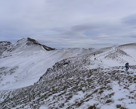 050 Sur la crête reliant le Puy de Peyre Arse au Puy Mary.