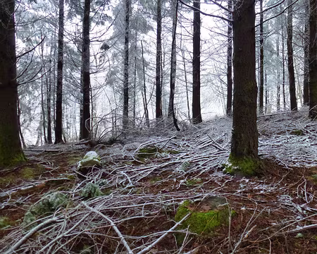 PXL003 qui nous enchante tous