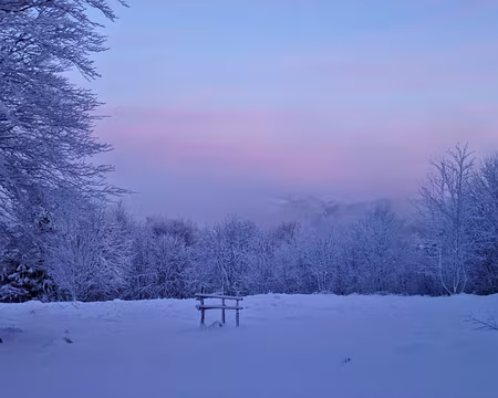 PXL016 J2-Le jour se lève sur un bel hiver