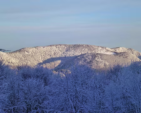 PXL017 Nous n'avons plus de mot pour dire notre émerveillement