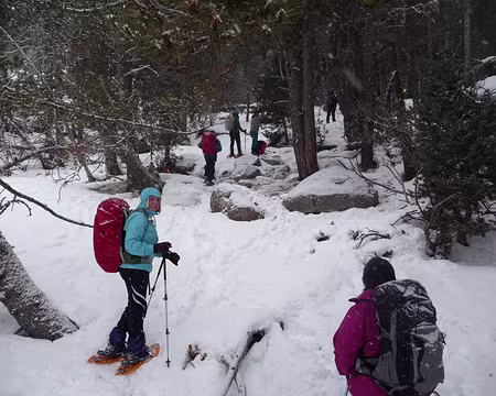 006 Bon, il faut monter !!!