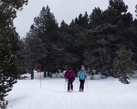 010 Petite discussion entre amies...