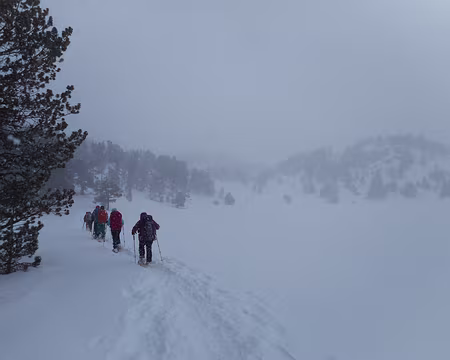 012 En bordure du lac d'Aude 