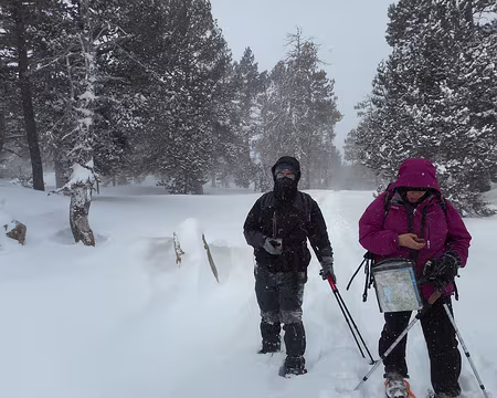 020 Aucune trace, repères difficiles à voir, heureusement le GPS est là...