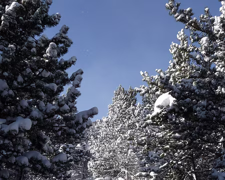 034 on en prend plein les yeux par ce spectacle