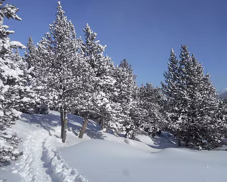 038 Jolie carte postale, on profite de ces moments là...