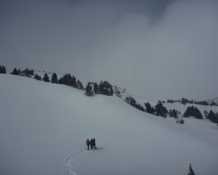 054 Il faut faire les traces, cela demande beaucoup d'énergie