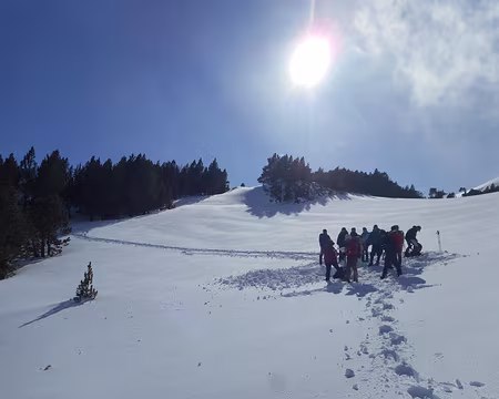 056 Pause et exercice de recherche de victime