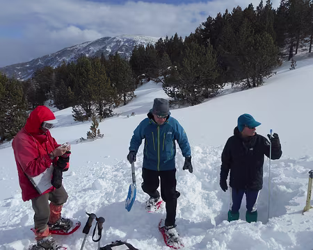 057 Ils ont creusé et dégagé un tas de neige (pour rien)...