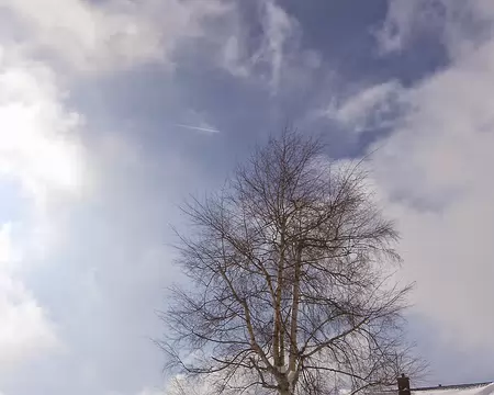 PXL000 Belle couche de neige à Métabief, (alt. 1 000 m.)