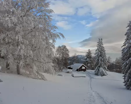 PXL014 La Cabane dans son écrin blanc.