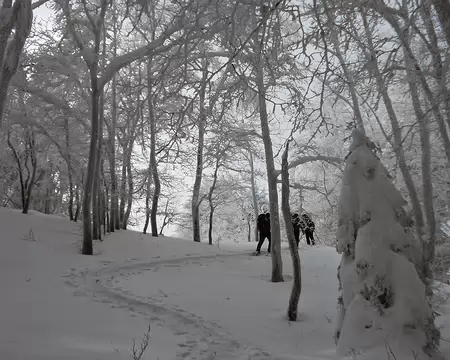 PXL035 Vers Pralioux Dessus