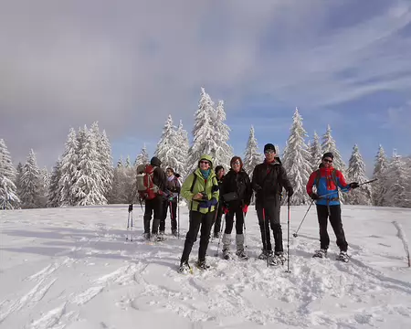 PXL036 Pralioux Dessus