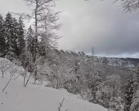 PXL039 Les crêtes parcourues la veille par - 10 ° C avec la bise et sous les stratus.