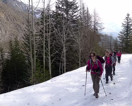 PXL005 Le long du torrent de Sestrière.