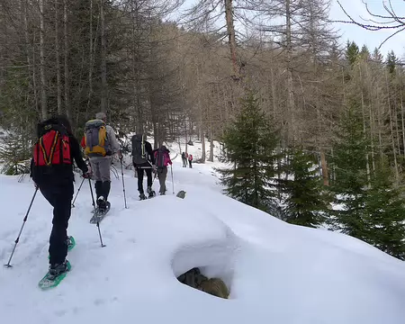 PXL007 En forêt.