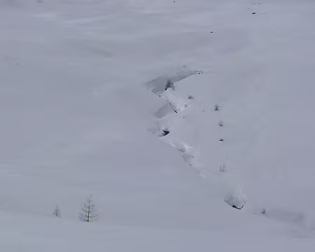 PXL022 Dans le joli vallon de la Braissette.