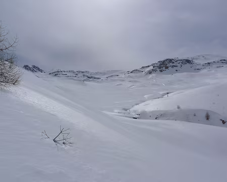 PXL023 Dans le joli vallon de la Braissette.