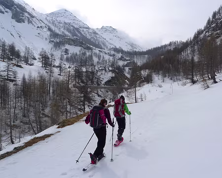 PXL033 Marche cadencée.