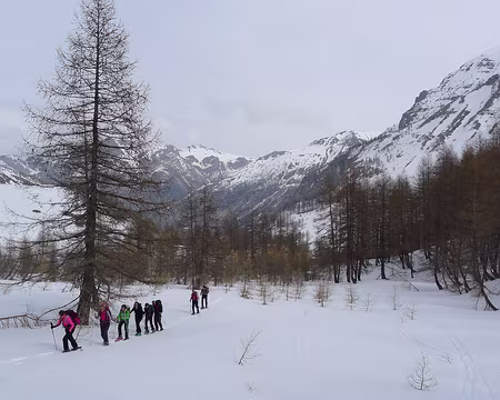 PXL038 Dans le vallon du Bachelard.