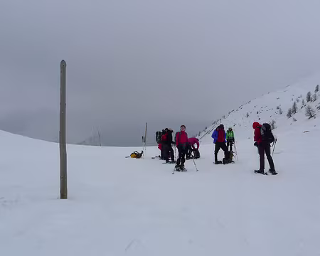 PXL042 ... au col de la Cayolle.