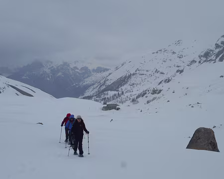 PXL043 Du refuge de la Cayolle (fermé)...