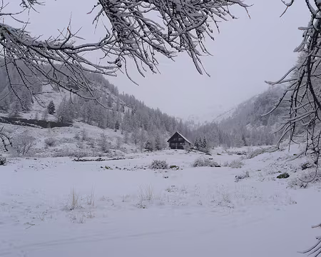 PXL046 ... ont embelli le paysage.