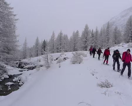 PXL047 Le long du ruisseau de Sanguinière.
